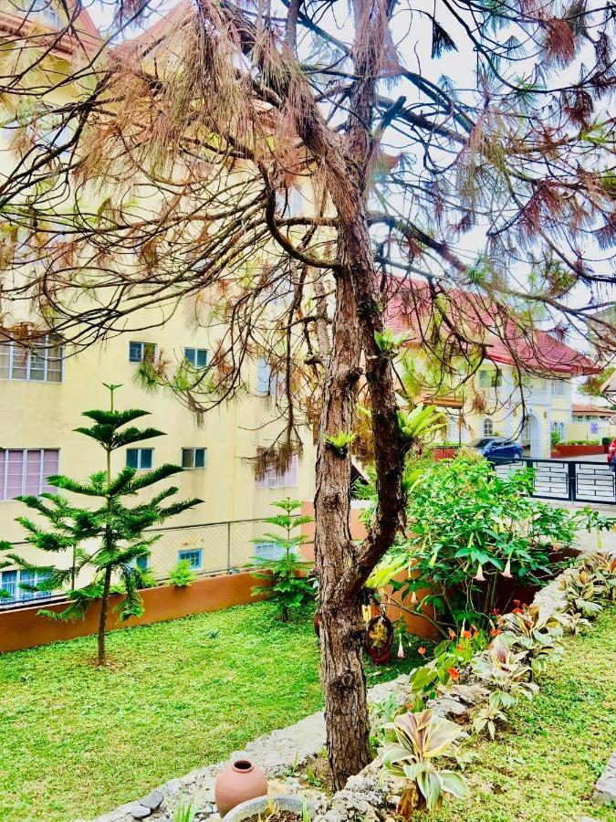 Elliannah Pines Hotel Baguio City ภายนอก รูปภาพ